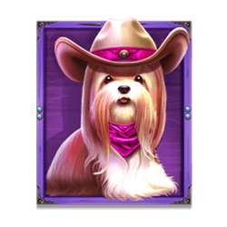 รีวิวเกมสล็อต The Dog House Dog or Alive
